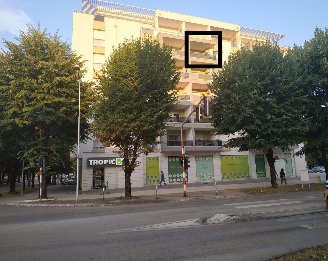 Avisi *